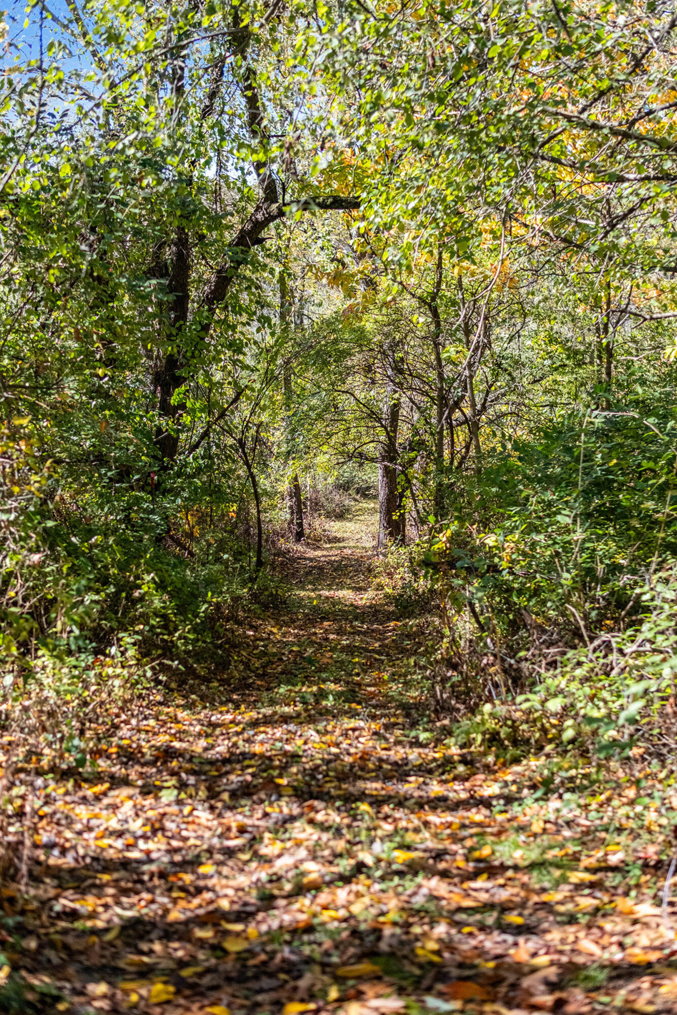 1460 Munith Road Jackson, MI 49201 - Photo 22 of 42 022_sbp_82_825