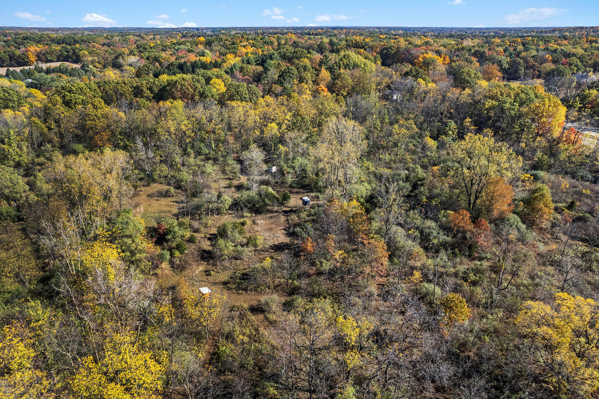 1460 Munith Road Jackson, MI 49201 - Photo 30 of 42 030_dji_0021_405