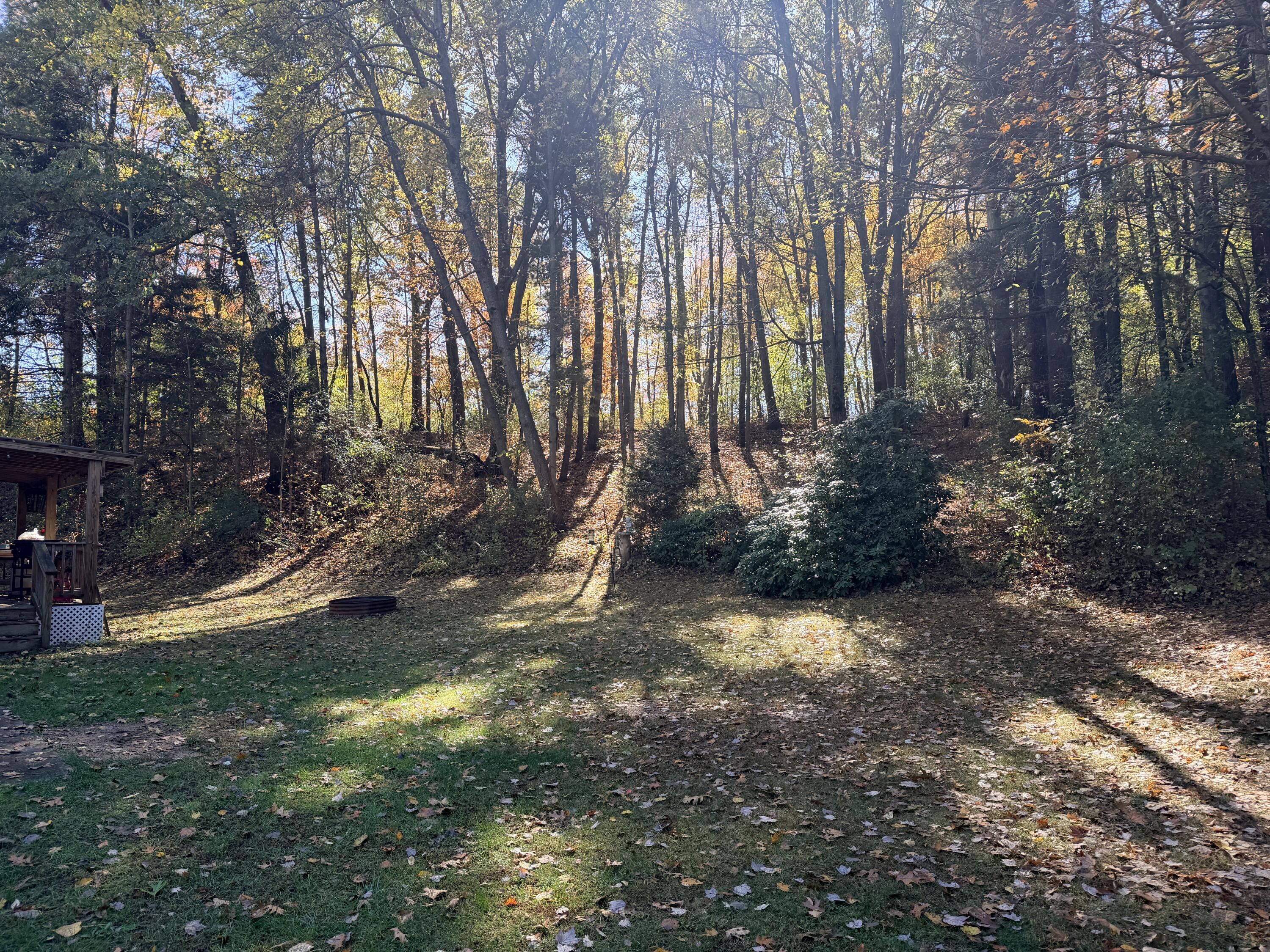 1460 Munith Road Jackson, MI 49201 - Photo 33 of 42 Munith