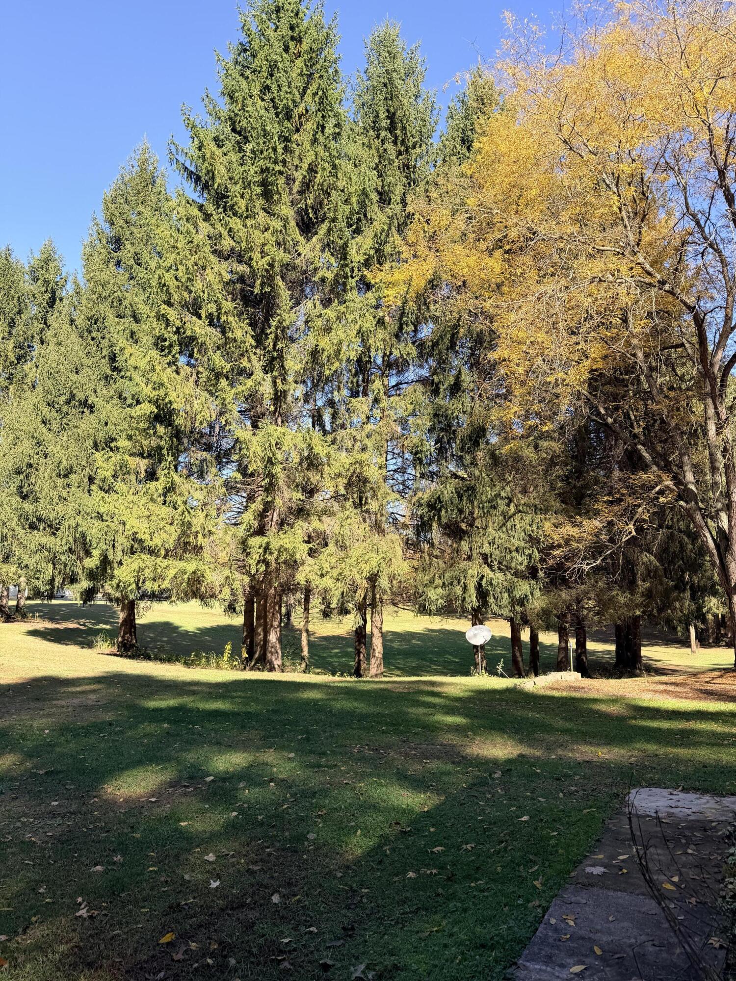 1460 Munith Road Jackson, MI 49201 - Photo 39 of 42 Munith 8