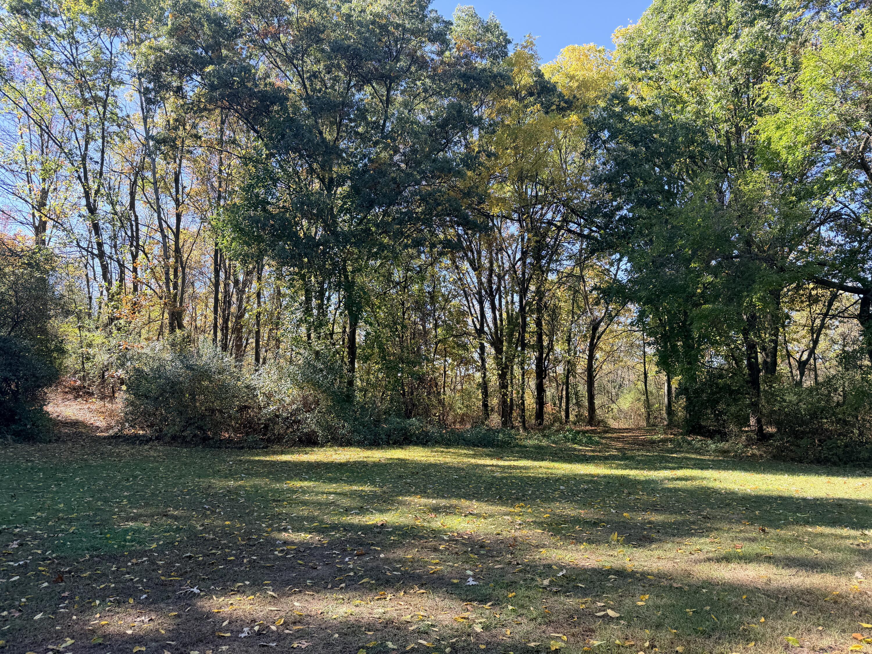 1460 Munith Road Jackson, MI 49201 - Photo 41 of 42 Munith 11