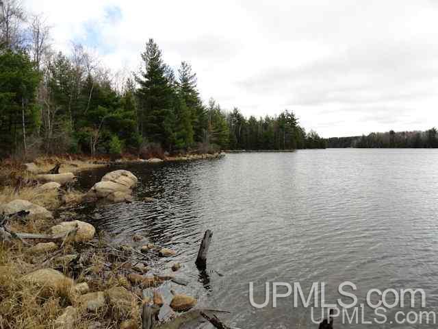 40-acres Perch Lake Road Champion, MI 49814 - Photo 4 of 11