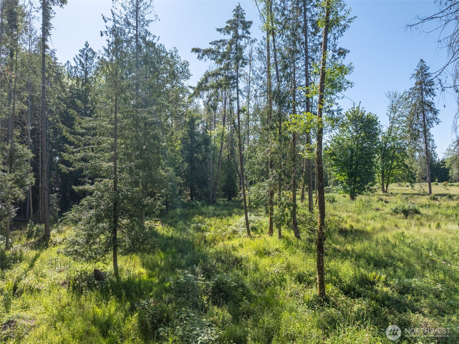 0 Chilvers Road Chehalis, WA 98532 - Photo 28 of 40