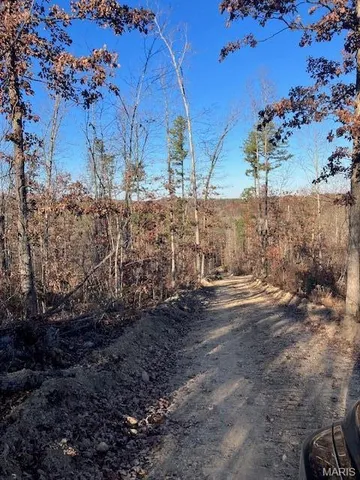 $23,995 | 55 Madison Cr, Fredericktown, MO 63645