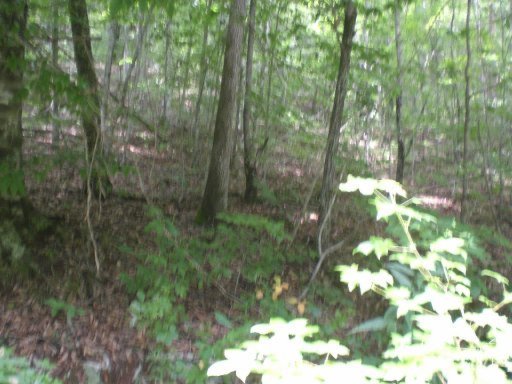 3-4 Steve Brown Road Bean Station, TN 37708 - Photo 4 of 10 Additional Photo