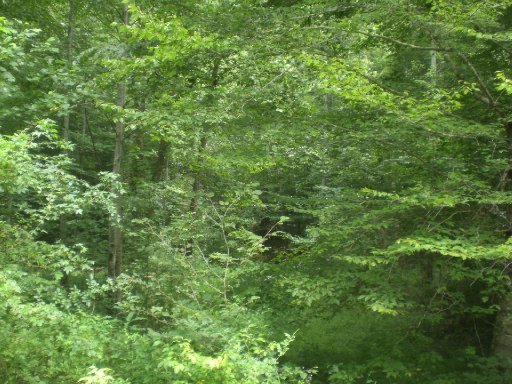 3-4 Steve Brown Road Bean Station, TN 37708 - Photo 8 of 10 Additional Photo