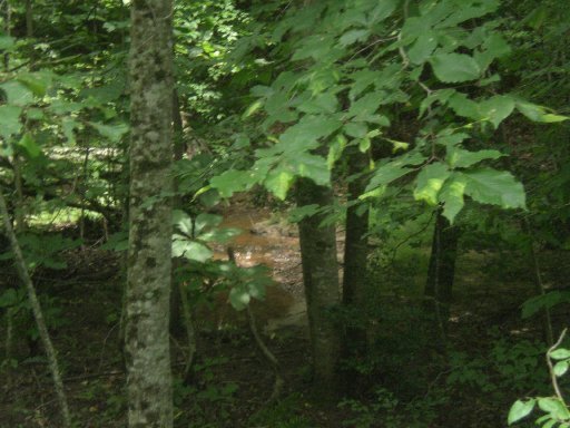 3-4 Steve Brown Road Bean Station, TN 37708 - Photo 10 of 10 Additional Photo
