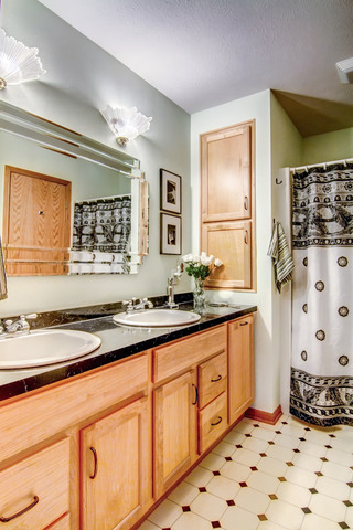 1437 Dresden Road Davis, IL 61019 - Photo 15 of 25 a bathroom with a granite countertop sink a mirror and shower