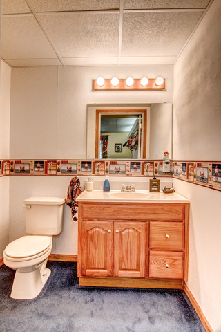 1437 Dresden Road Davis, IL 61019 - Photo 24 of 25 a bathroom with a toilet sink and mirror
