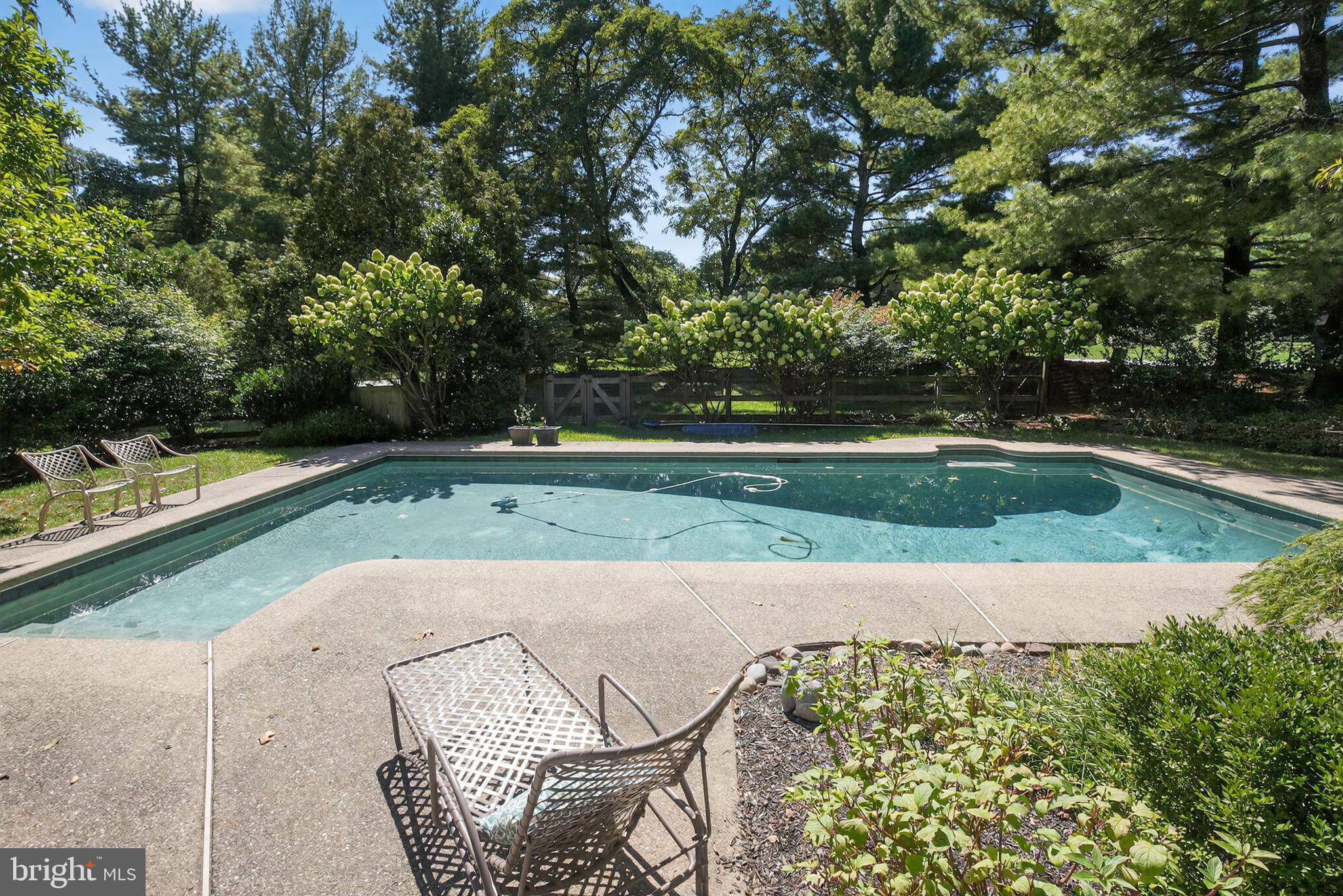 1 Fox Pond Place Spring House, PA 19477 - Photo 43 of 56 Patio area with saltwater pool