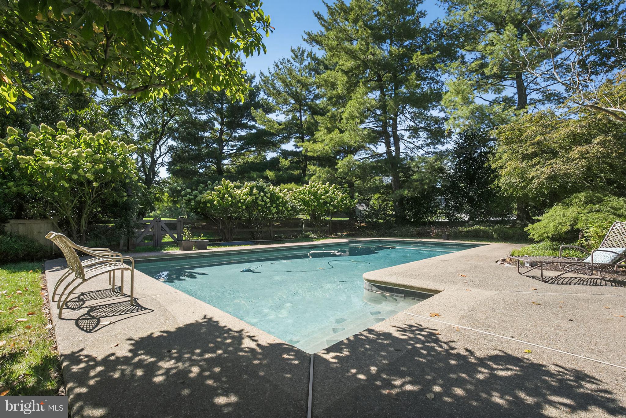 1 Fox Pond Place Spring House, PA 19477 - Photo 44 of 56 Saltwater Pool