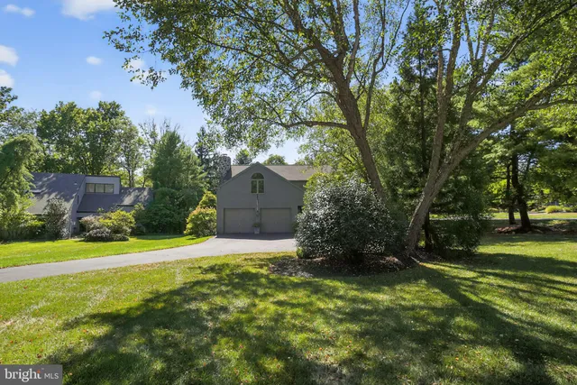 a view of a garden with plants