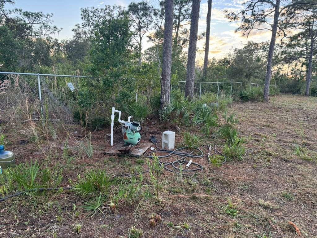 6718 Owens Road St. Cloud, FL 34773 - Photo 3 of 10 a view of a park with large trees