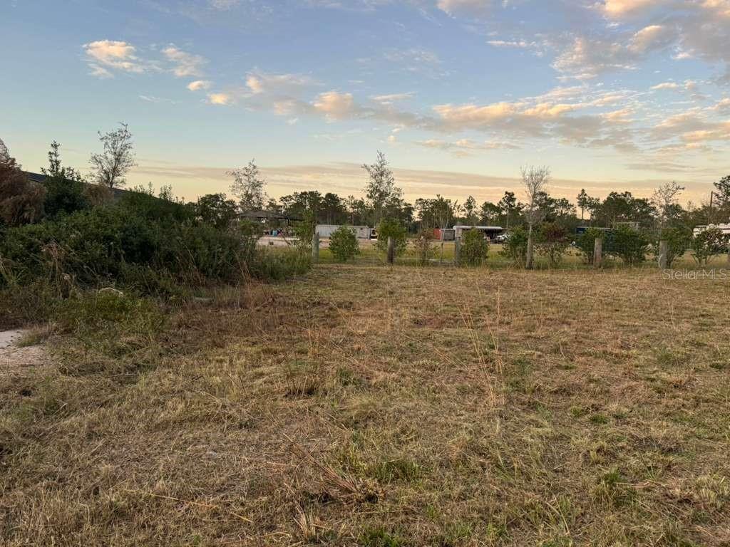 6718 Owens Road St. Cloud, FL 34773 - Photo 4 of 10 a view of a field with trees