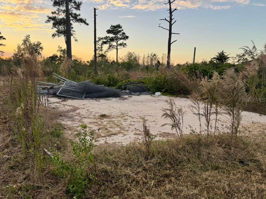 6718 Owens Road St. Cloud, FL 34773 - Photo 6 of 10 a view of a dry yard with trees