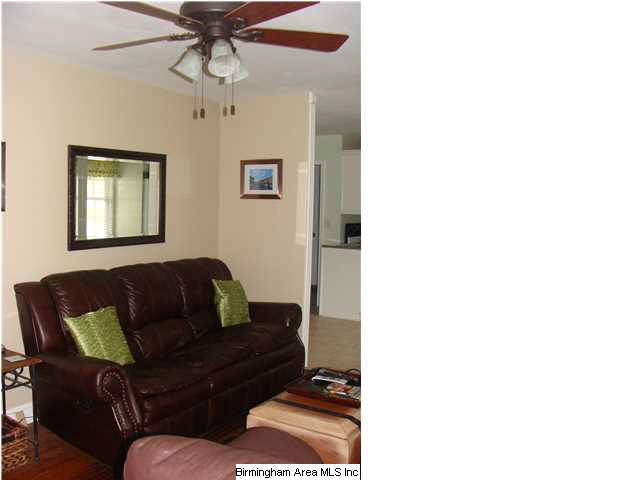 6520 Water Works Road Mount Olive, AL 35117 - Photo 6 of 27