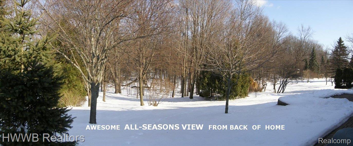 1514 Chevy Circuit Rochester, MI 48306 - Photo 14 of 24 BACK VIEW FROM PATIO