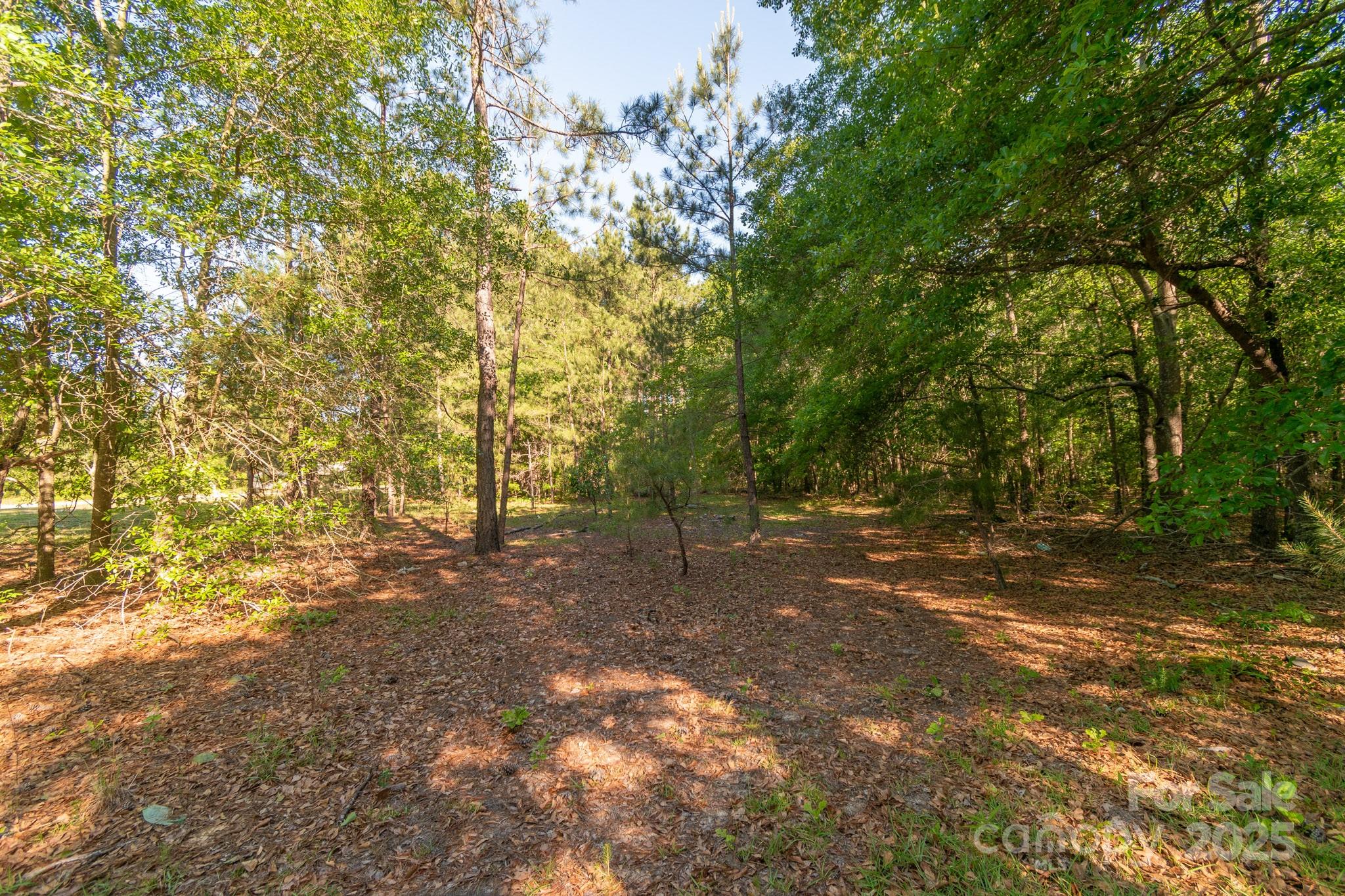 0 Airport Road Pageland, SC 29728 - Photo 11 of 46 a view of outdoor space and trees