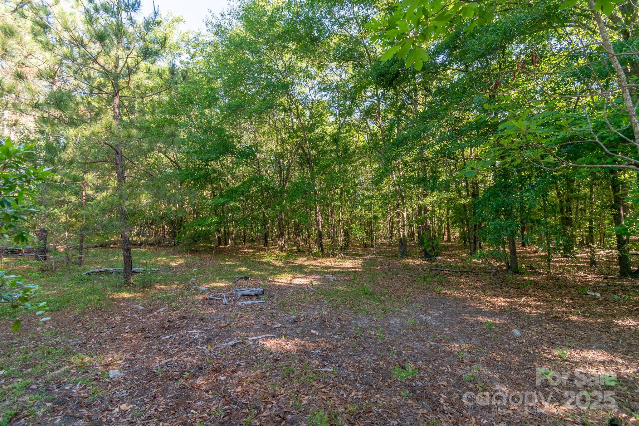 0 Airport Road Pageland, SC 29728 - Photo 12 of 46 a backyard of a house with lots of green space