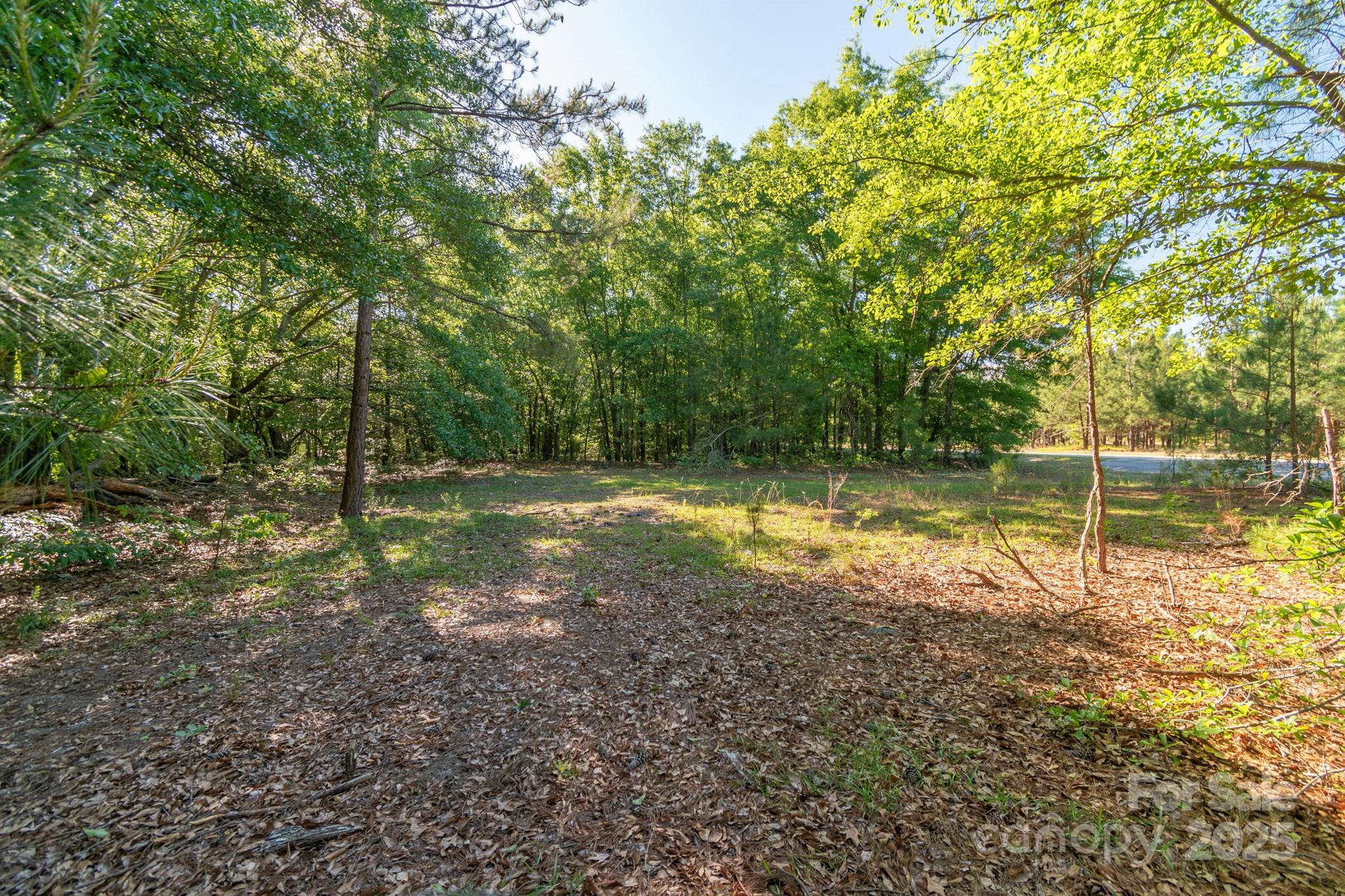 0 Airport Road Pageland, SC 29728 - Photo 14 of 46 a view of a yard with a tree