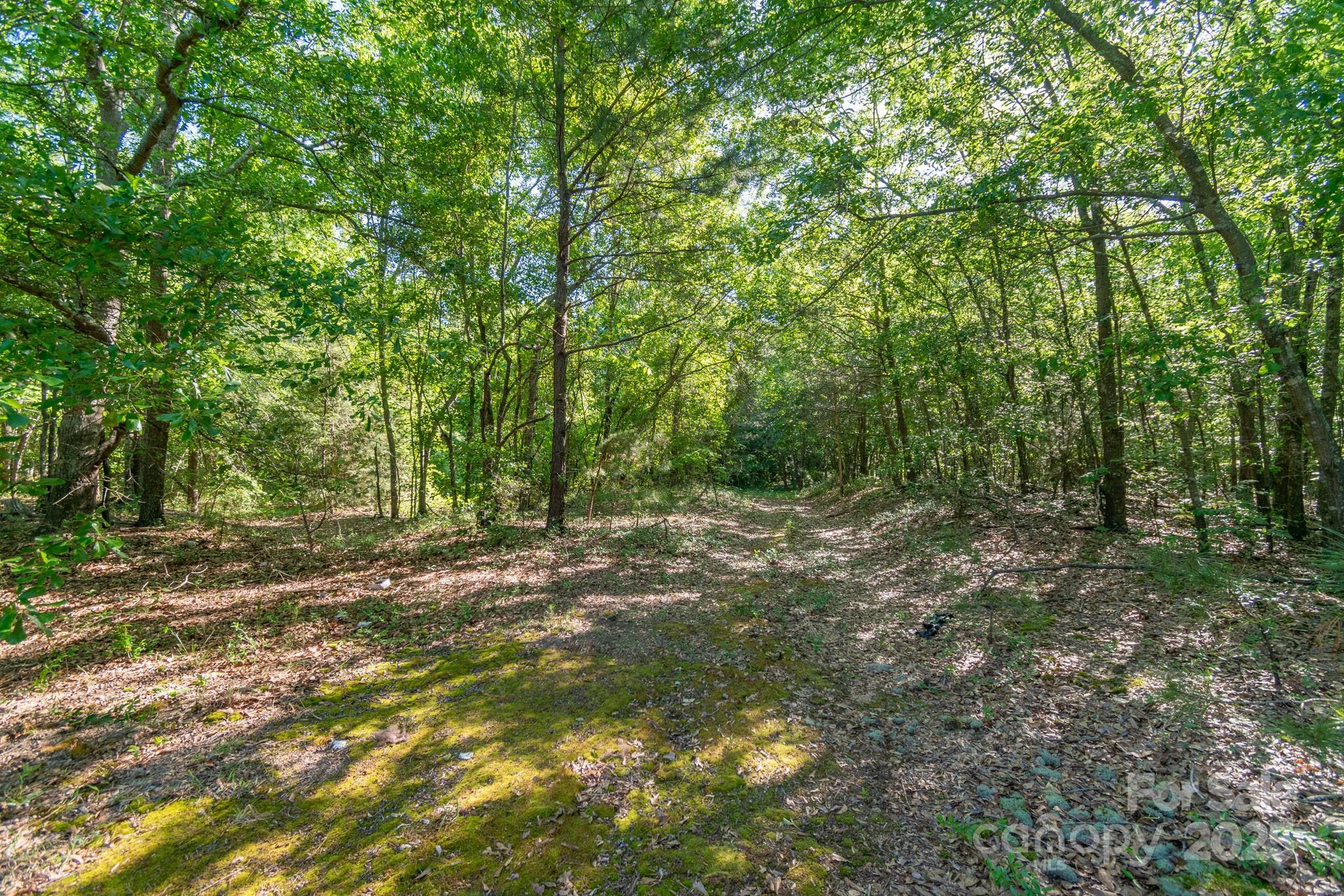 0 Airport Road Pageland, SC 29728 - Photo 15 of 46 a big yard with lots of green space and trees