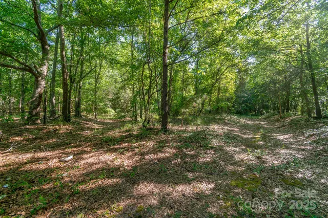 a view of outdoor space with deck and yard