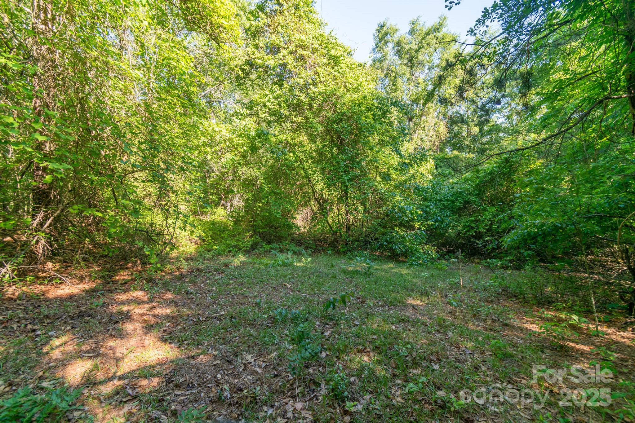 0 Airport Road Pageland, SC 29728 - Photo 19 of 46 a view of a large yard with lots of bushes