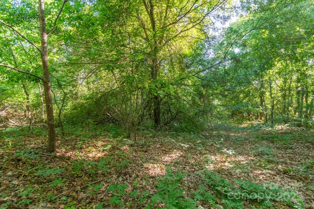 a big yard with lots of green space and trees