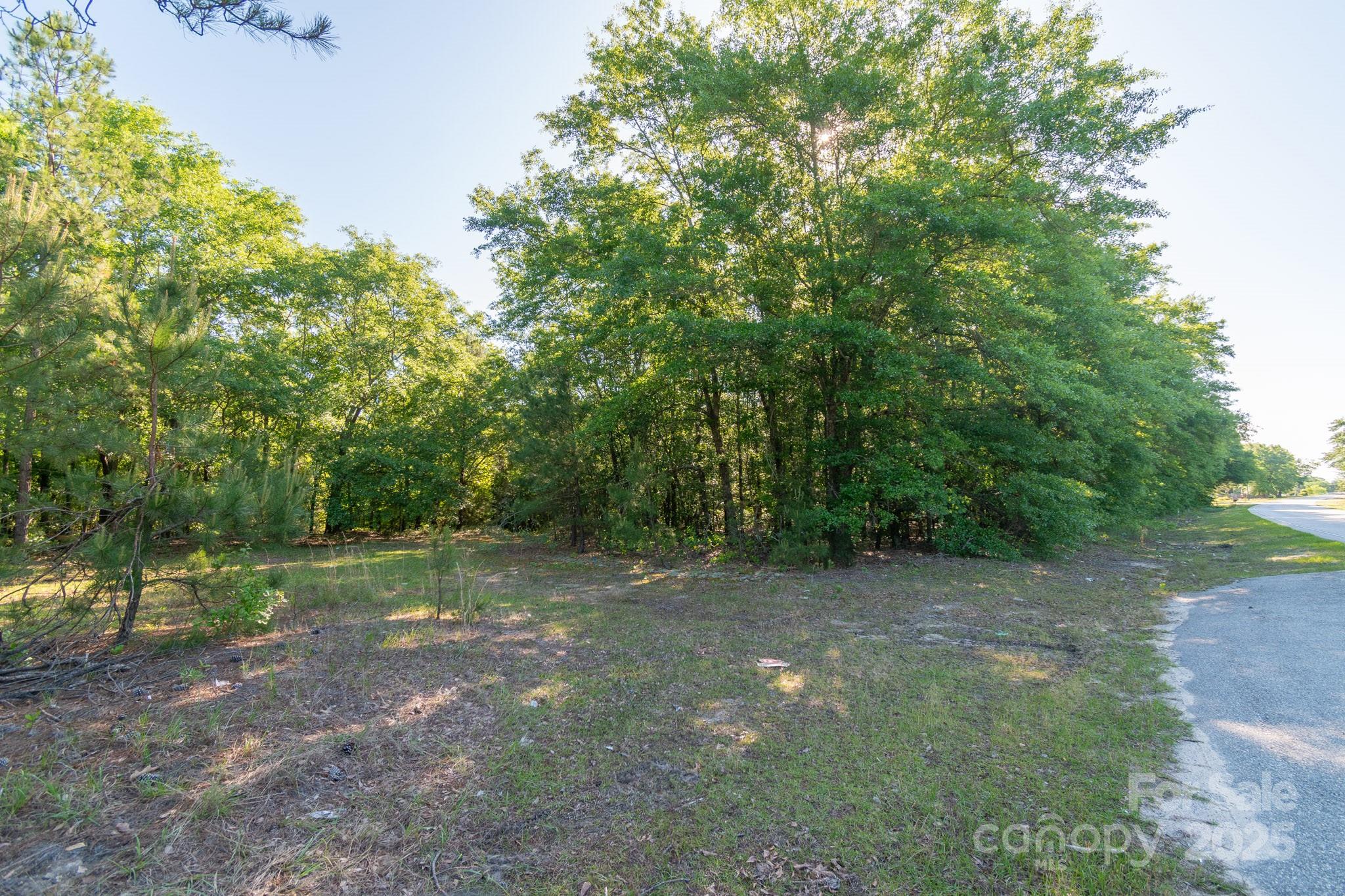 0 Airport Road Pageland, SC 29728 - Photo 2 of 46 a view of a field with trees in the background