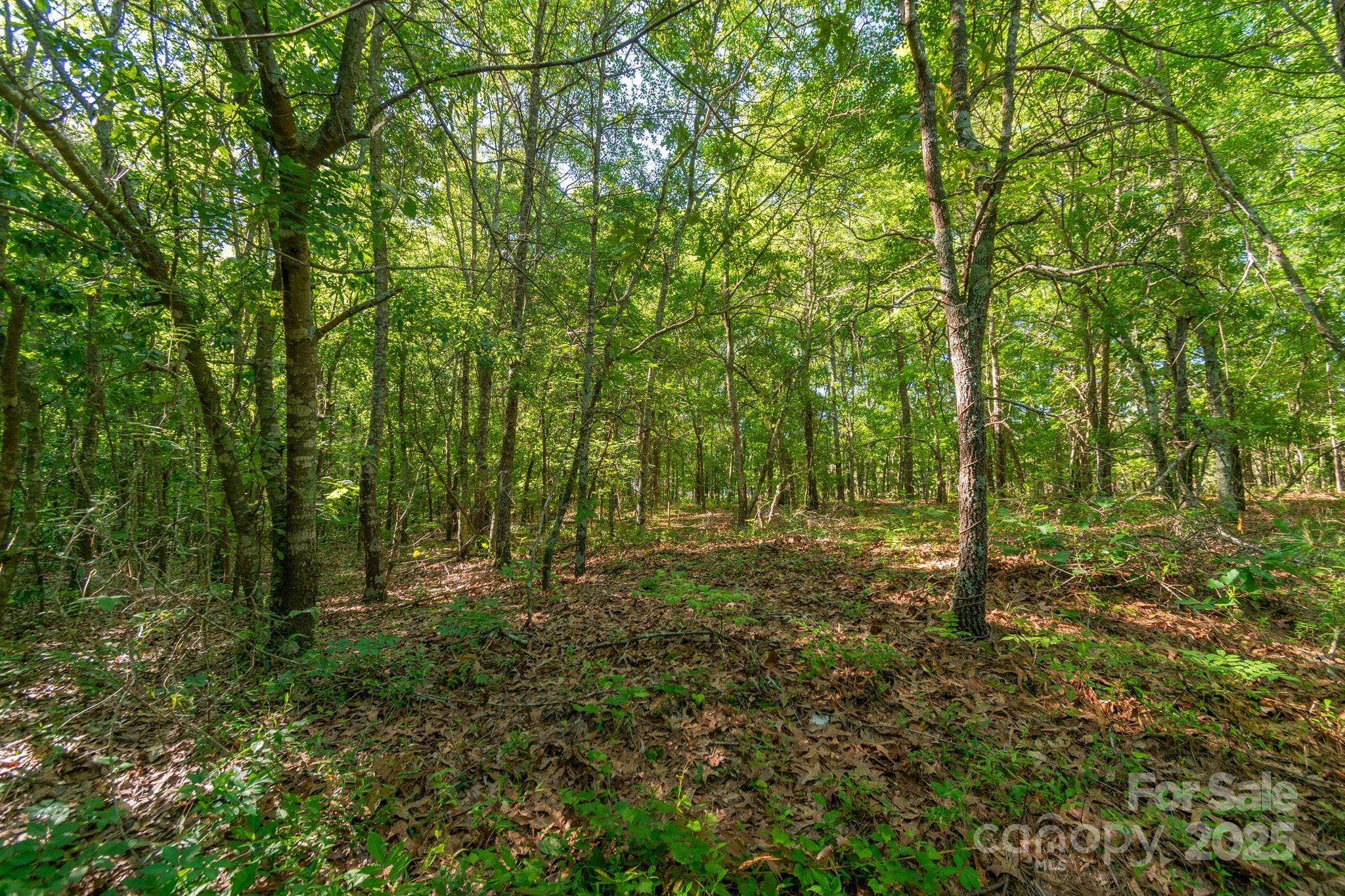 0 Airport Road Pageland, SC 29728 - Photo 21 of 46 a view of outdoor space and green space