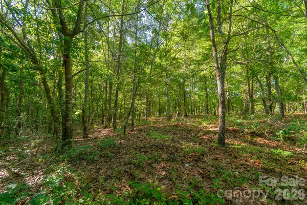 $250,000 | 0 Airport Road, Pageland, SC 29728