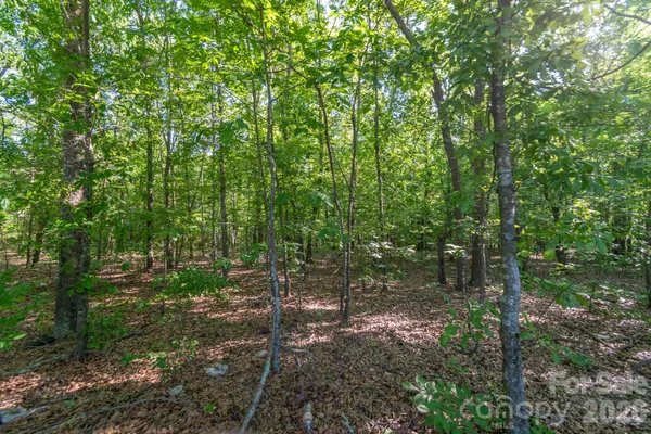 $250,000 | 0 Airport Road, Pageland, SC 29728