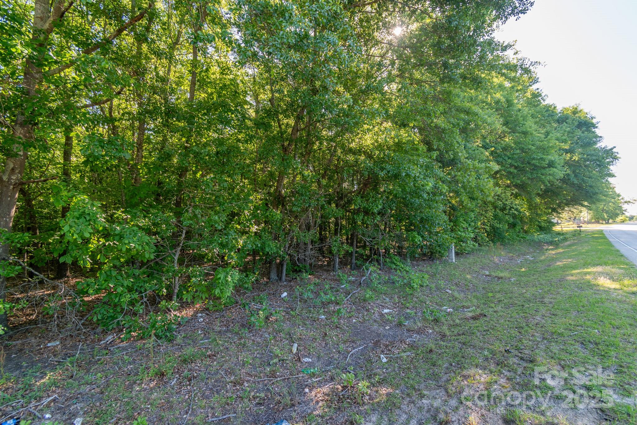 0 Airport Road Pageland, SC 29728 - Photo 24 of 46 a view of a forest with trees in the background