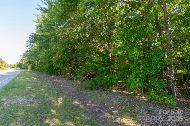 a view of a yard with a tree