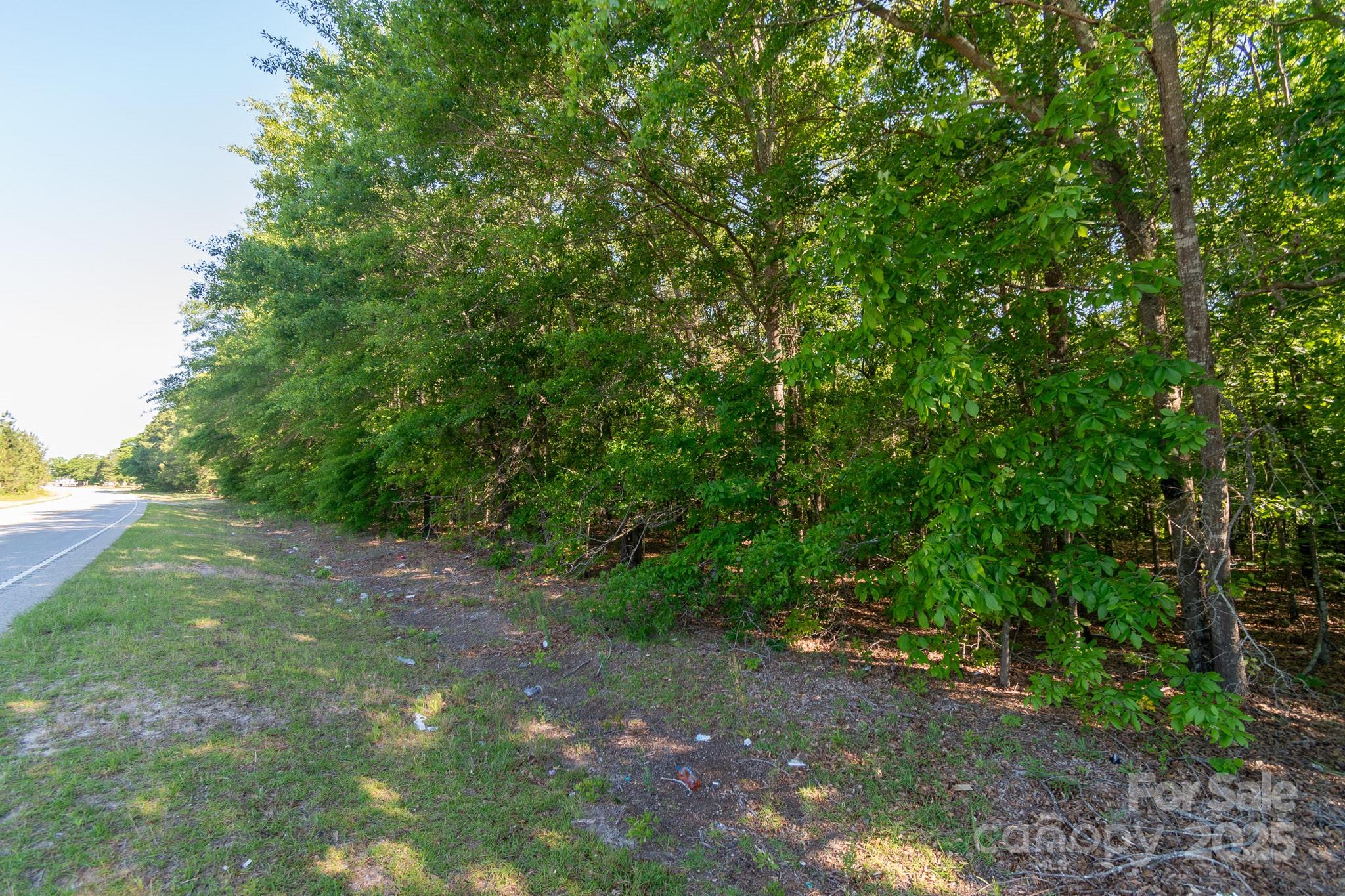 0 Airport Road Pageland, SC 29728 - Photo 25 of 46 a view of a yard with a tree