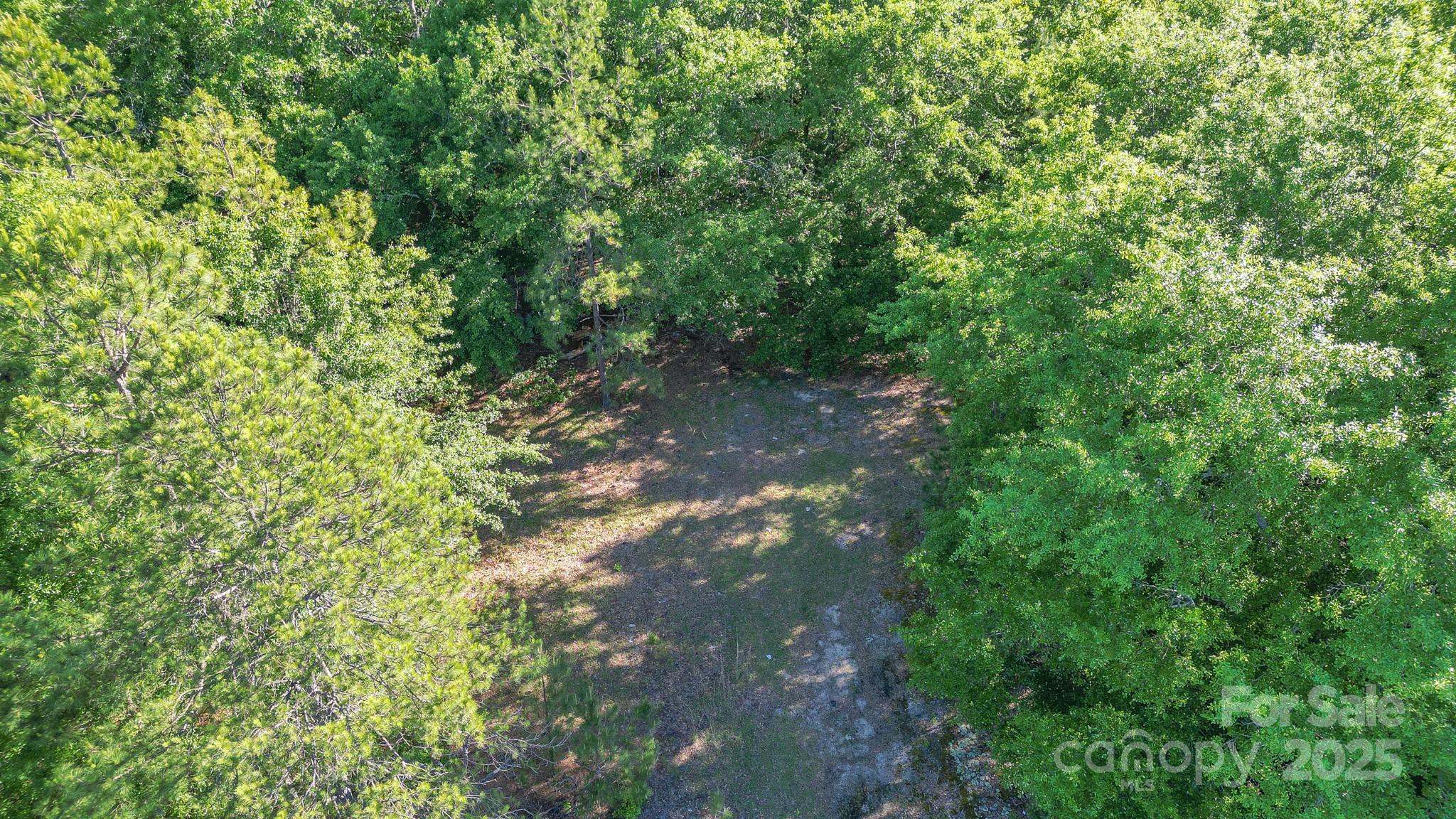 0 Airport Road Pageland, SC 29728 - Photo 26 of 46 a view of a forest with a tree