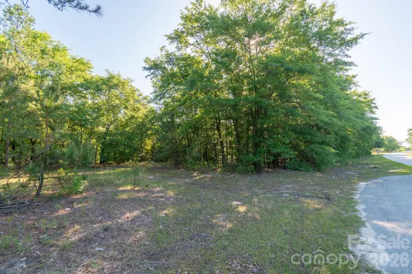 $250,000 | 0 Airport Road, Pageland, SC 29728