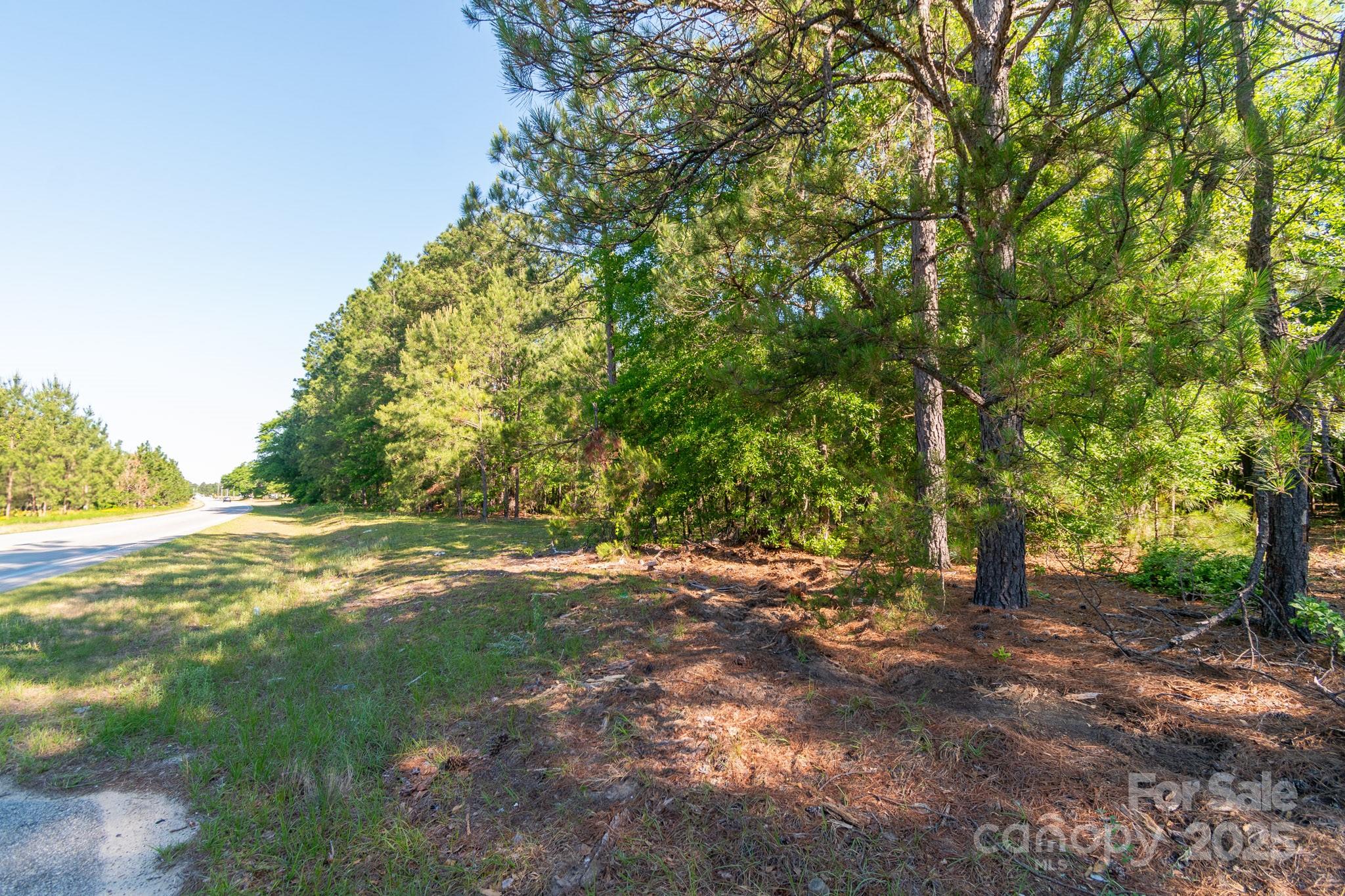 0 Airport Road Pageland, SC 29728 - Photo 3 of 46 a view of outdoor space with trees all around