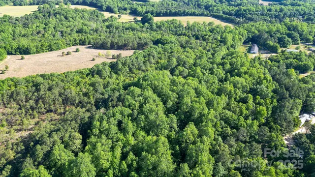 a view of a garden with a plants