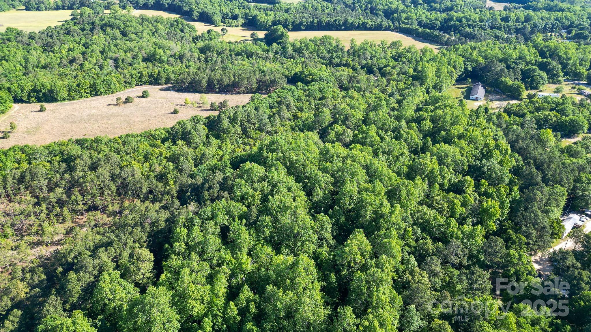 0 Airport Road Pageland, SC 29728 - Photo 35 of 46 a view of a garden with a plants