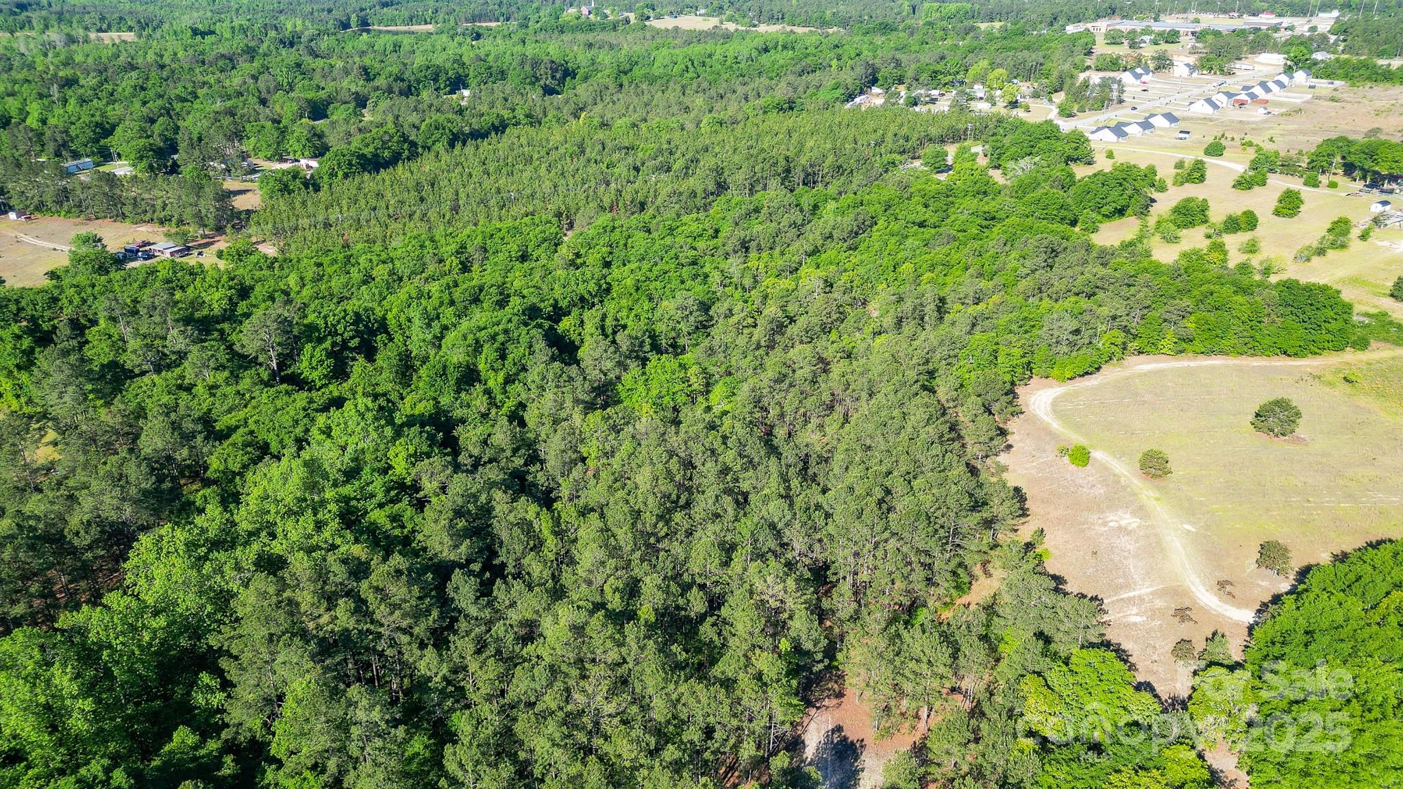 0 Airport Road Pageland, SC 29728 - Photo 38 of 46 a picture of a tree in a garden