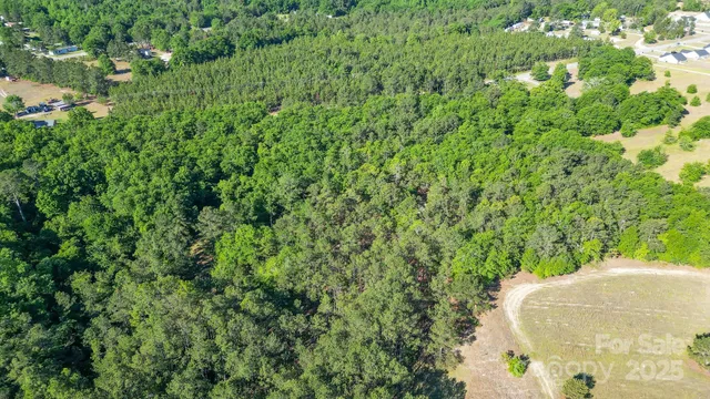 a view of a plant in a garden