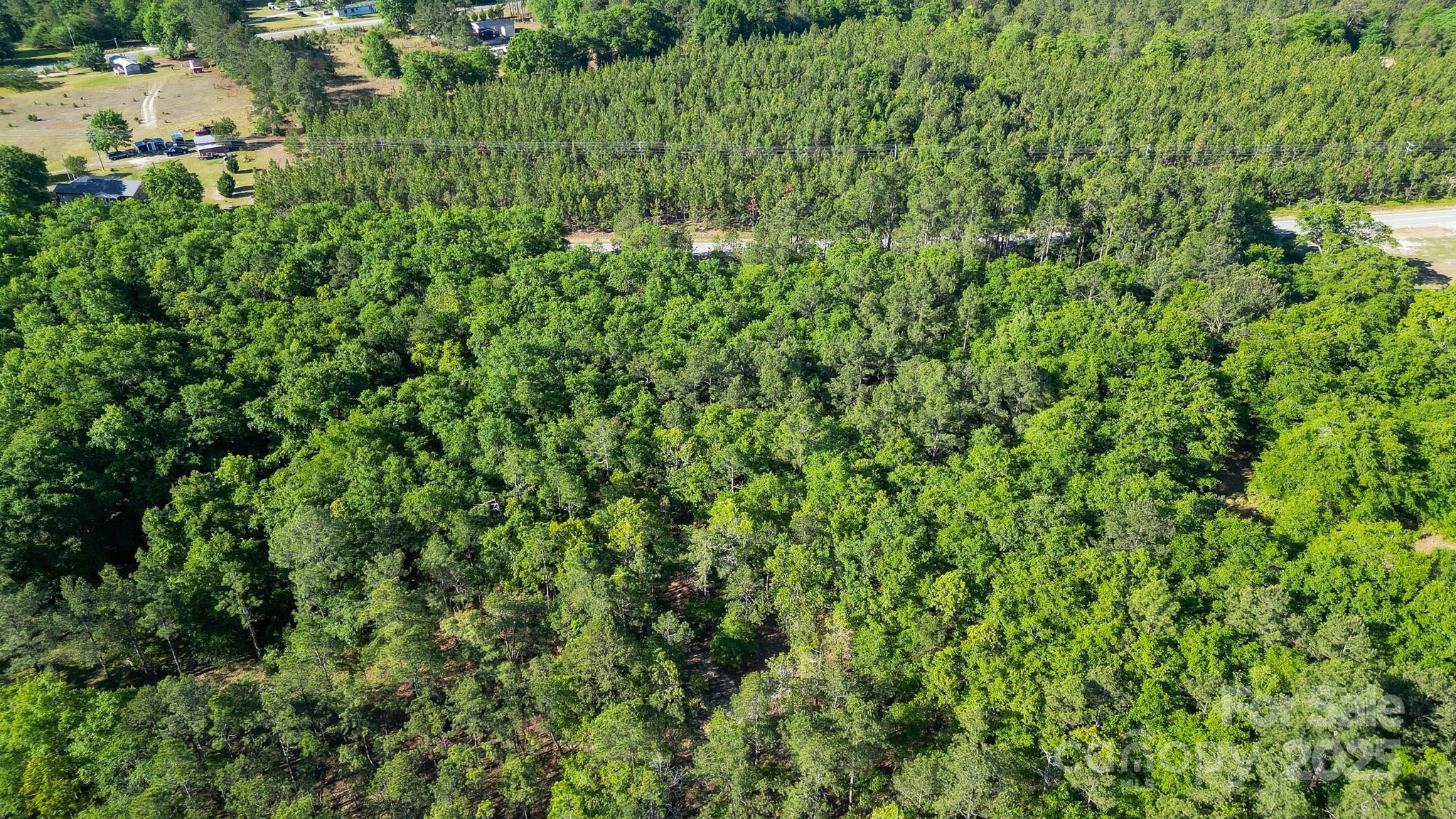 0 Airport Road Pageland, SC 29728 - Photo 41 of 46 a view of a lush green forest