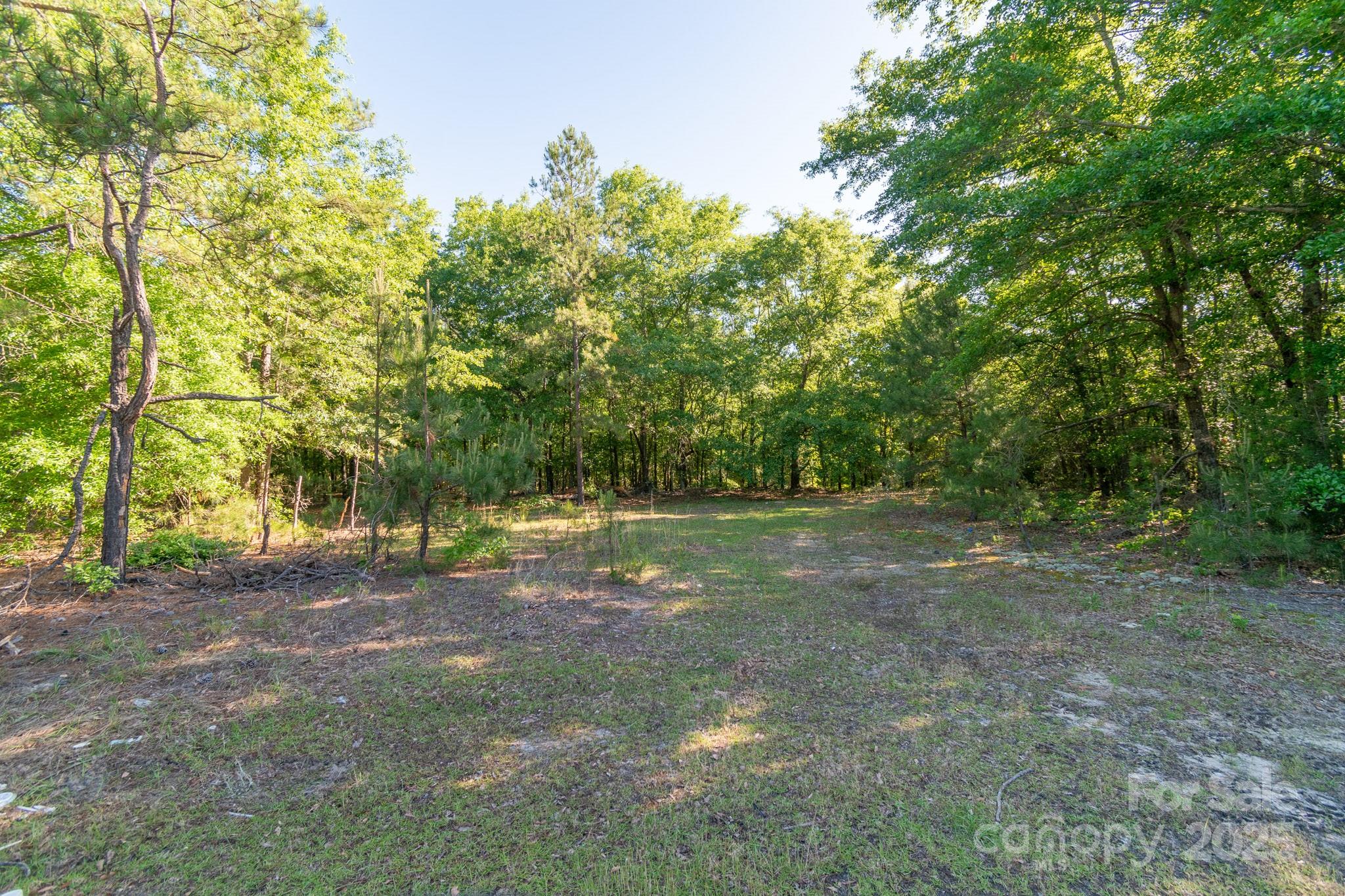 0 Airport Road Pageland, SC 29728 - Photo 5 of 46 a view of backyard with green space