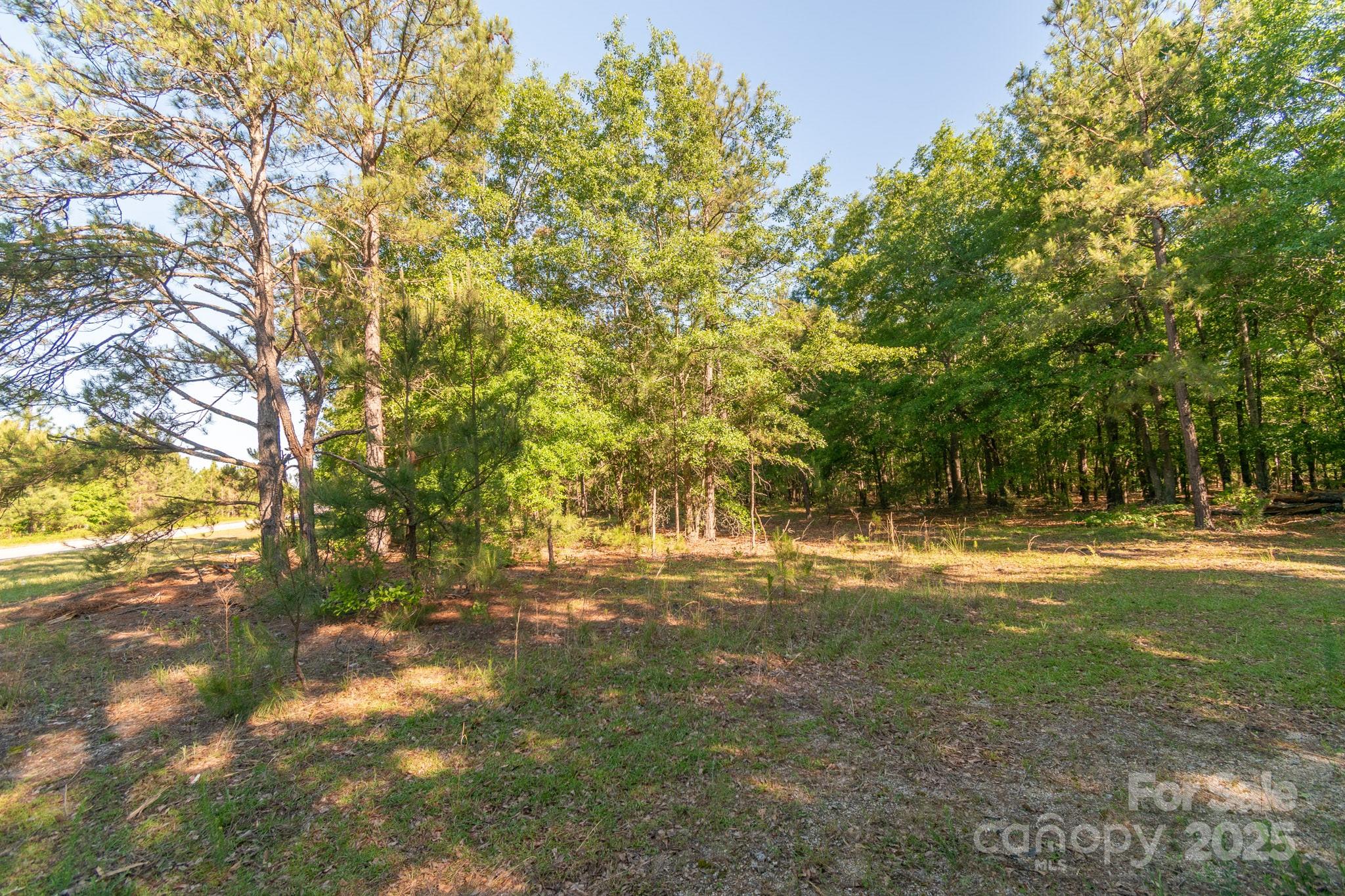 0 Airport Road Pageland, SC 29728 - Photo 6 of 46 a view of a yard with a tree