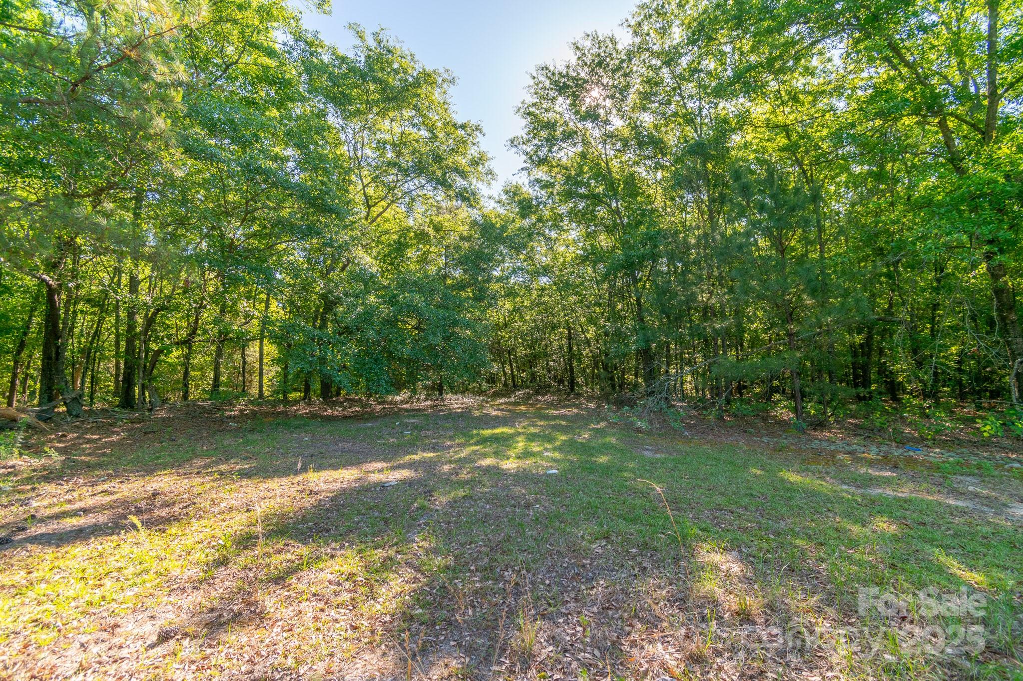 0 Airport Road Pageland, SC 29728 - Photo 8 of 46 a view of a yard with a tree