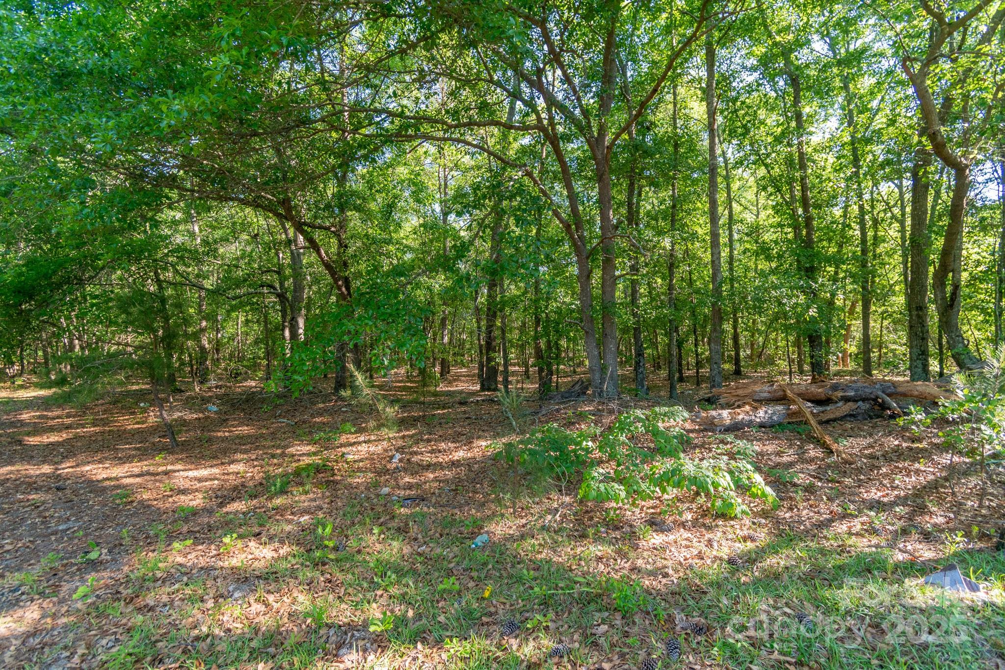 0 Airport Road Pageland, SC 29728 - Photo 10 of 46 a view of a tree in the middle of a yard
