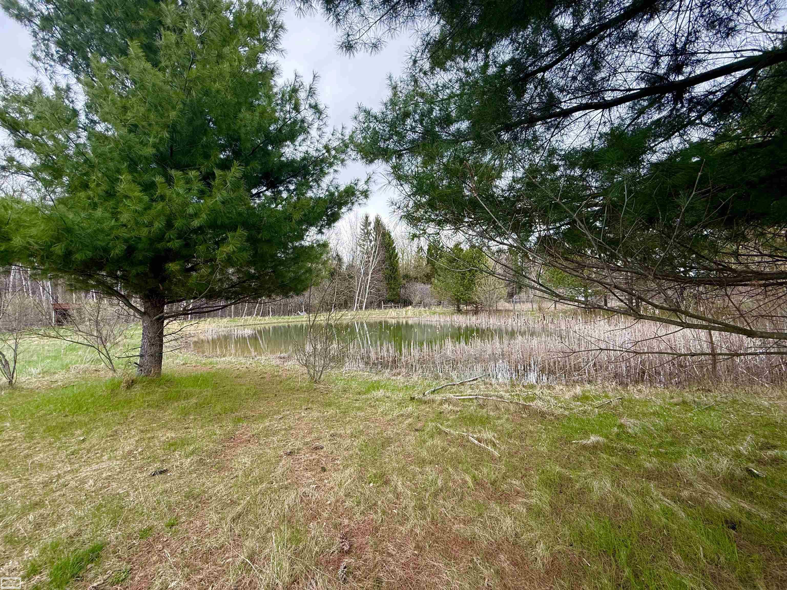 7285 Mayville Road Marlette, MI 48453 - Photo 32 of 39 Gallery Image 32