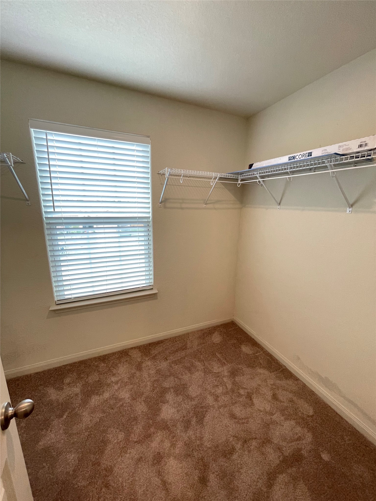 1579 Violet Lane Kyle, TX 78640 - Photo 11 of 21