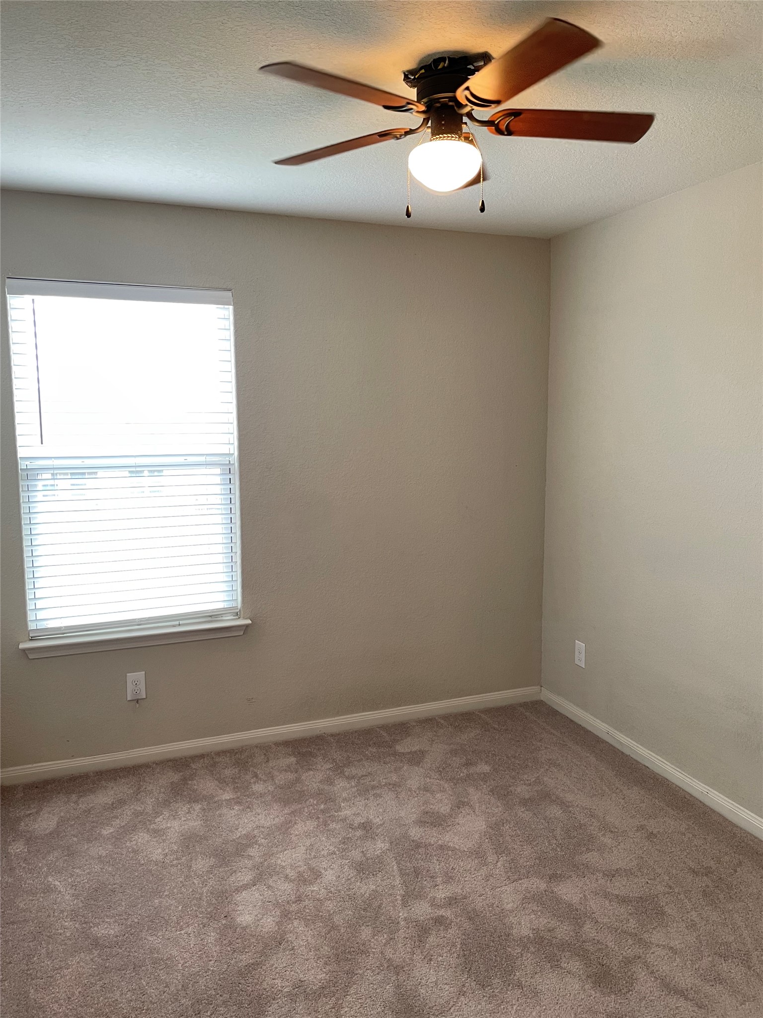 1579 Violet Lane Kyle, TX 78640 - Photo 12 of 21